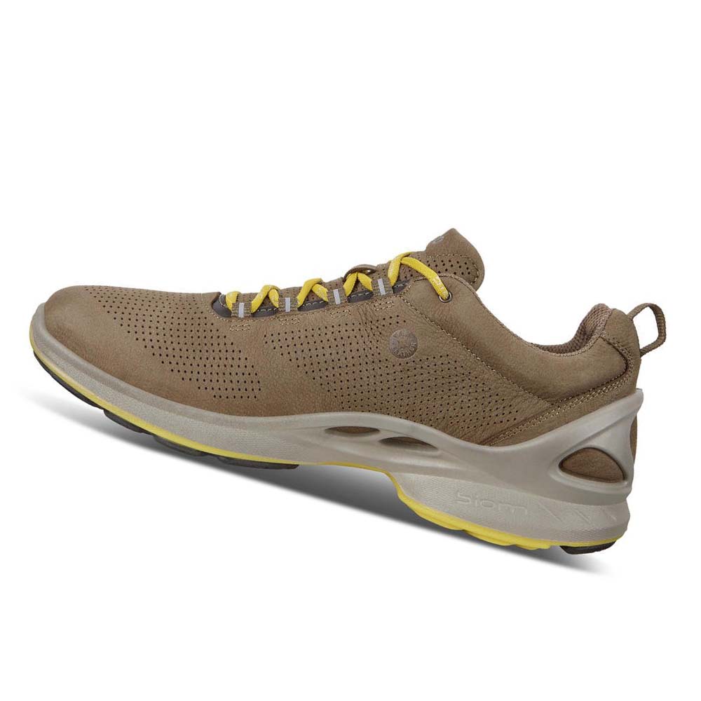 Pánské Hiking & Trail Ecco Mens Biom Fjuel Perf Hnědé | CZ 568JPQ